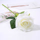 10pcs white flower