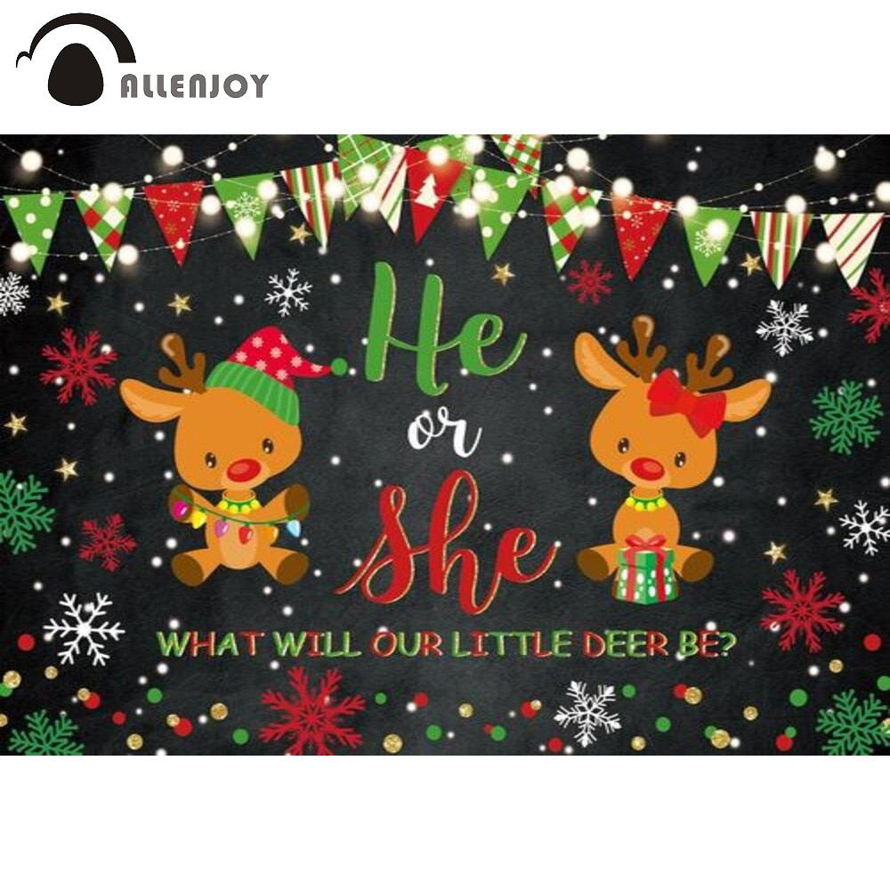 He or She Gender Reveal Party Background Winter Baby Shower Christmas Flag Snowflake Reindeer Lights Photozone Backdrop PartyDecorHQ