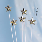 5pcs silver star