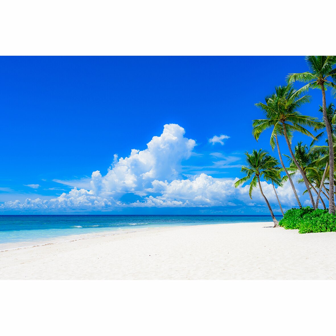 Island beach tropical tree clouds blue sky sand photocall decorations for home photography studio funds PartyDecorHQ