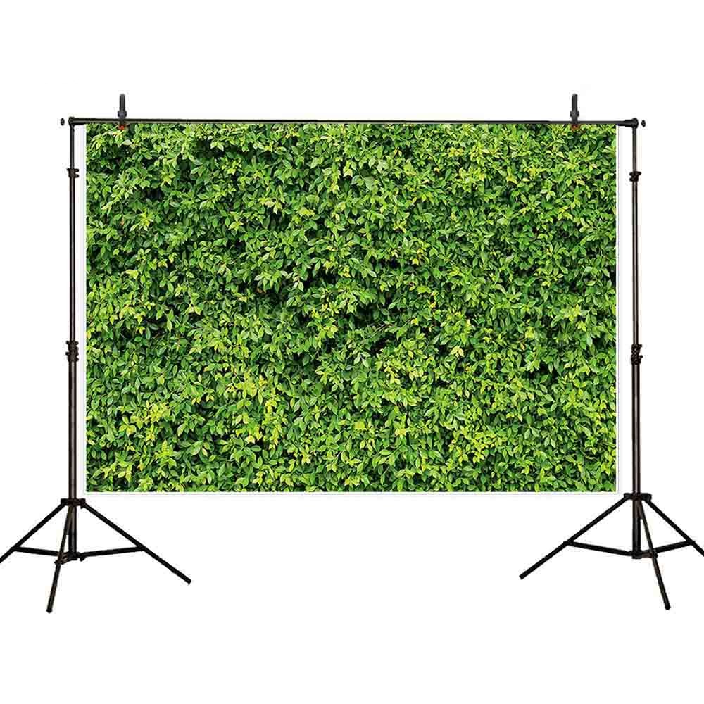 photography backdrops shrub hedge bush green plant outdoor nature fence spring background photo studio 