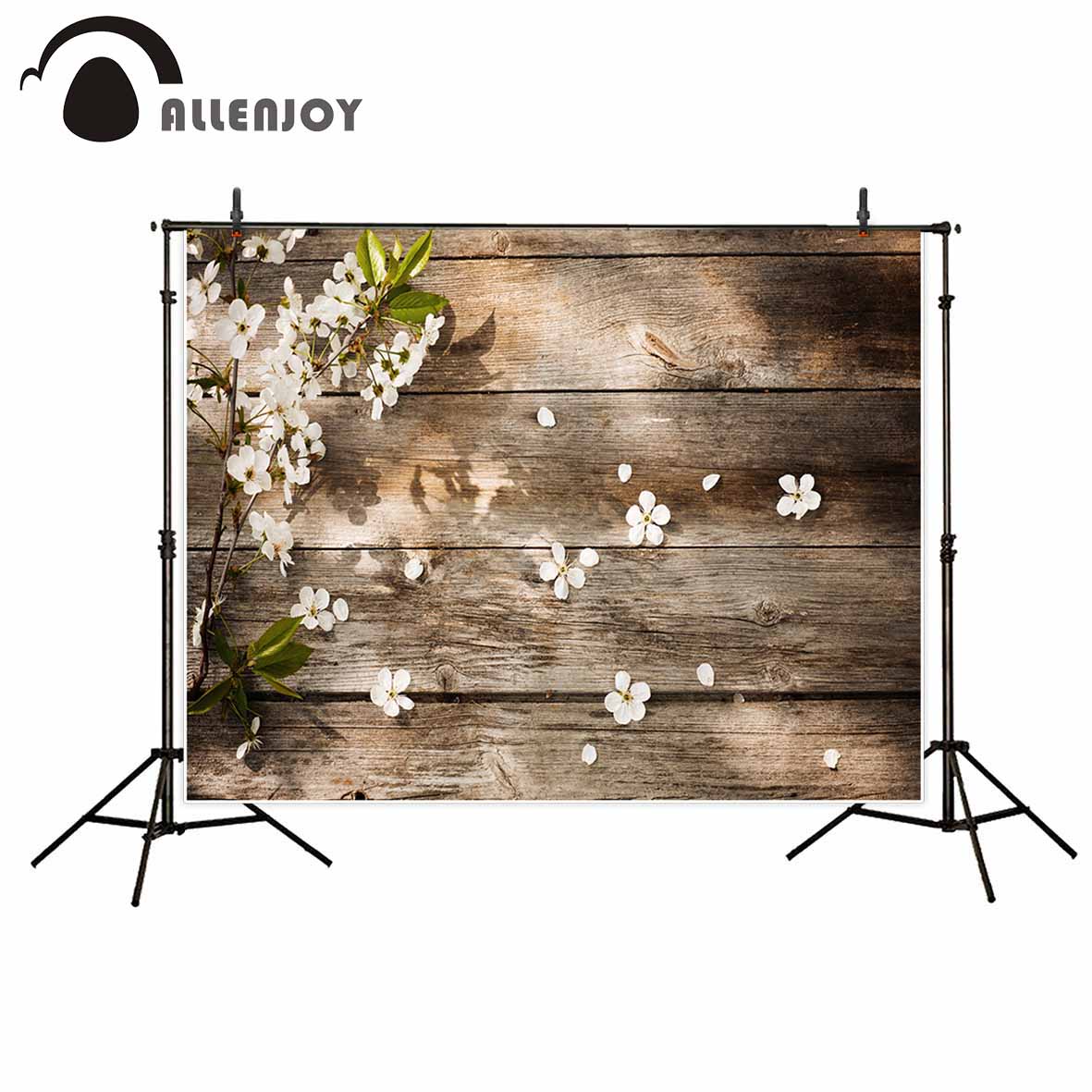 spring Wooden board branches flowers sunshine children's background photo booth camera photographic professional 