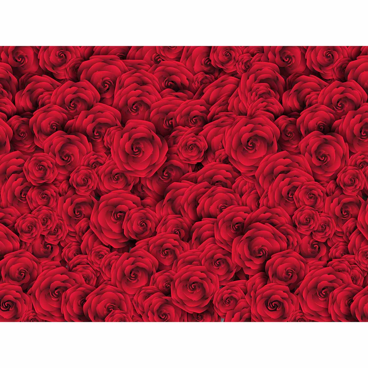 Natural red roses background romantic Valentine's Day wedding backdrop photo fond studio 