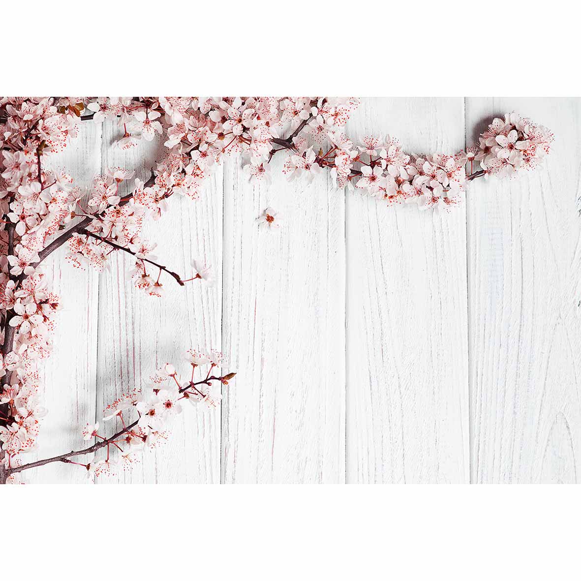 pink flowers white wooden background baby photo fund photography vinyl photocall 