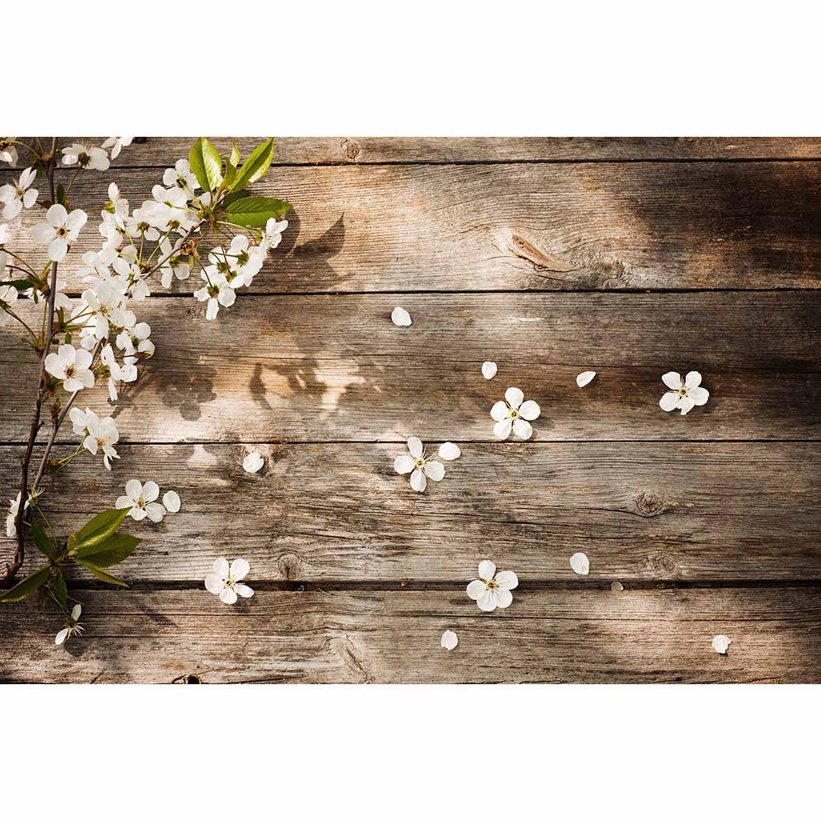 spring Wooden board branches flowers sunshine children's background photo booth camera photographic professional 