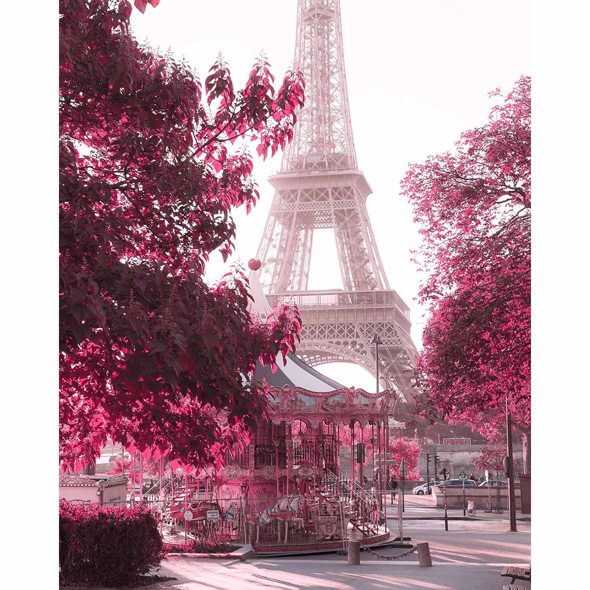 photography backdrops Eiffel Tower carousel red tree romantic wedding background photo 