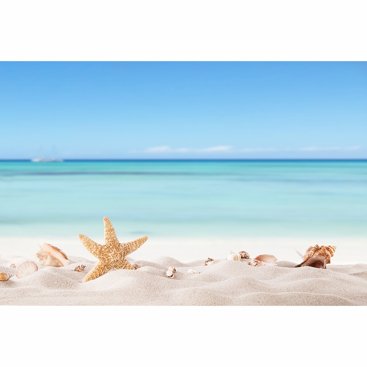 Sand starfish conch shell light blue sea water island summer beach background children photocall decorations fond 