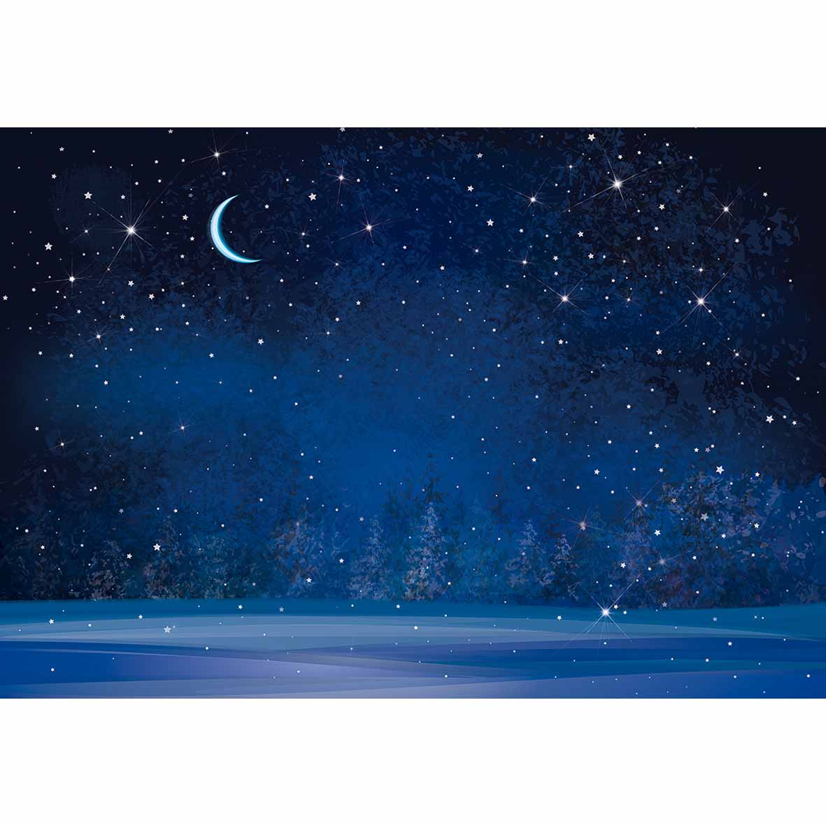 winter wonderland snowy night stars moon dark blue forest backgrounds photo studio fund decorations booth 