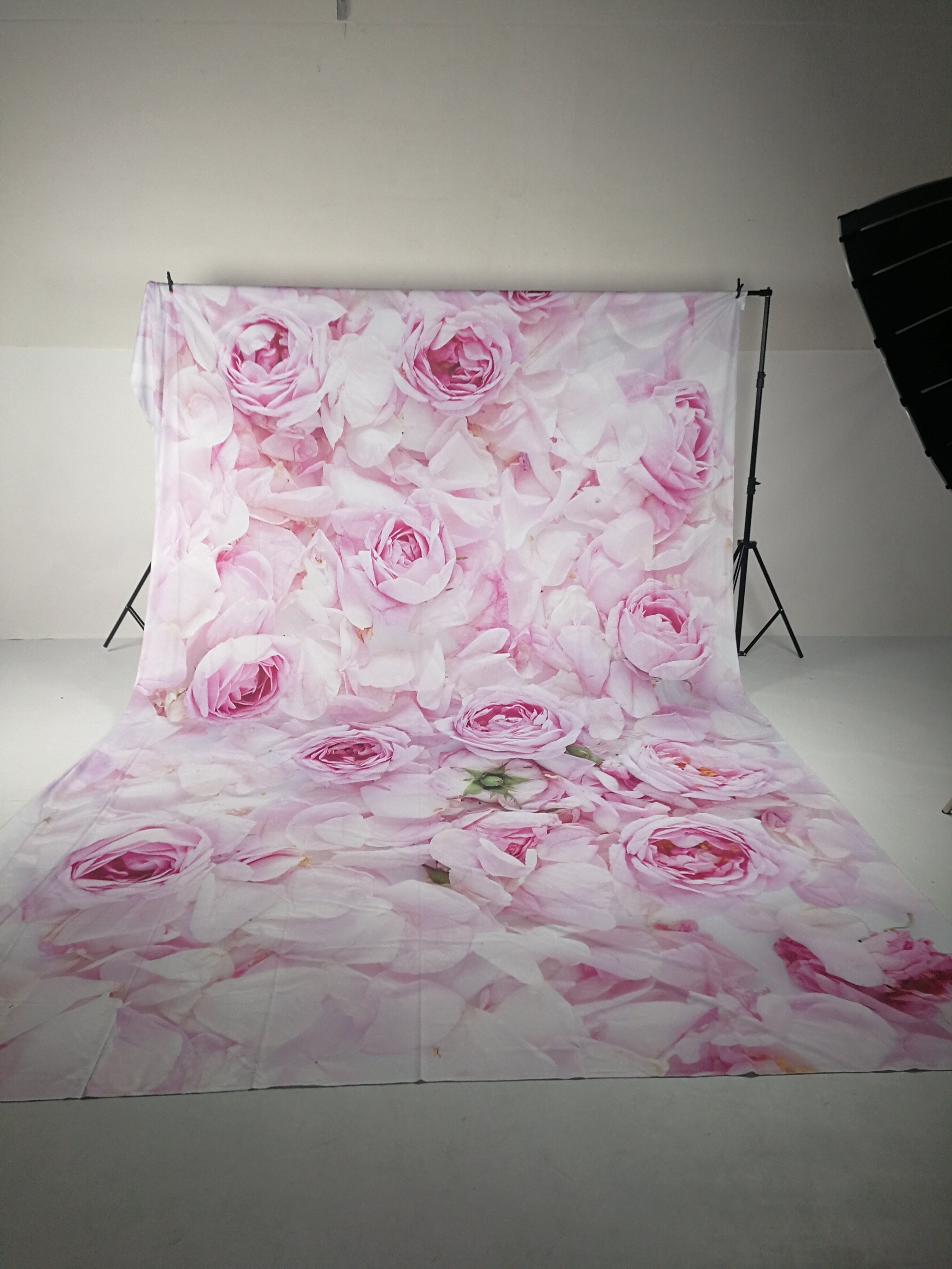 Photo background Pink rose wedding love baby shower fresh professional camera Vinyl pictures 