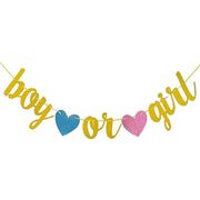 boy or girl banner