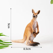 kangaroo